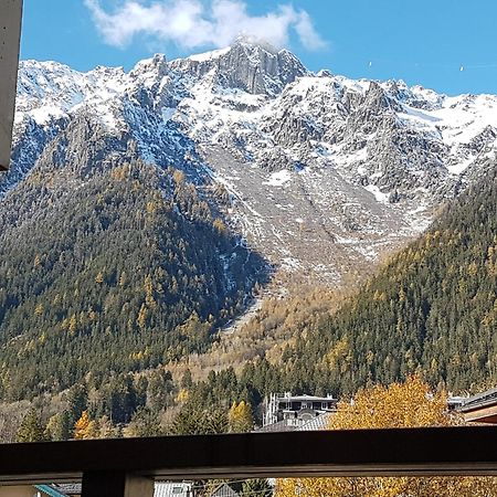 Vue Magique En Hypercentre Avec Parking Privatif Chamonix Exterior foto